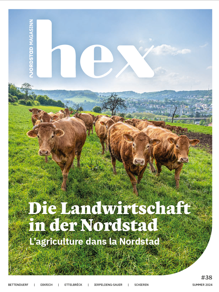 Hex magazine été - Hex #38 été 2024